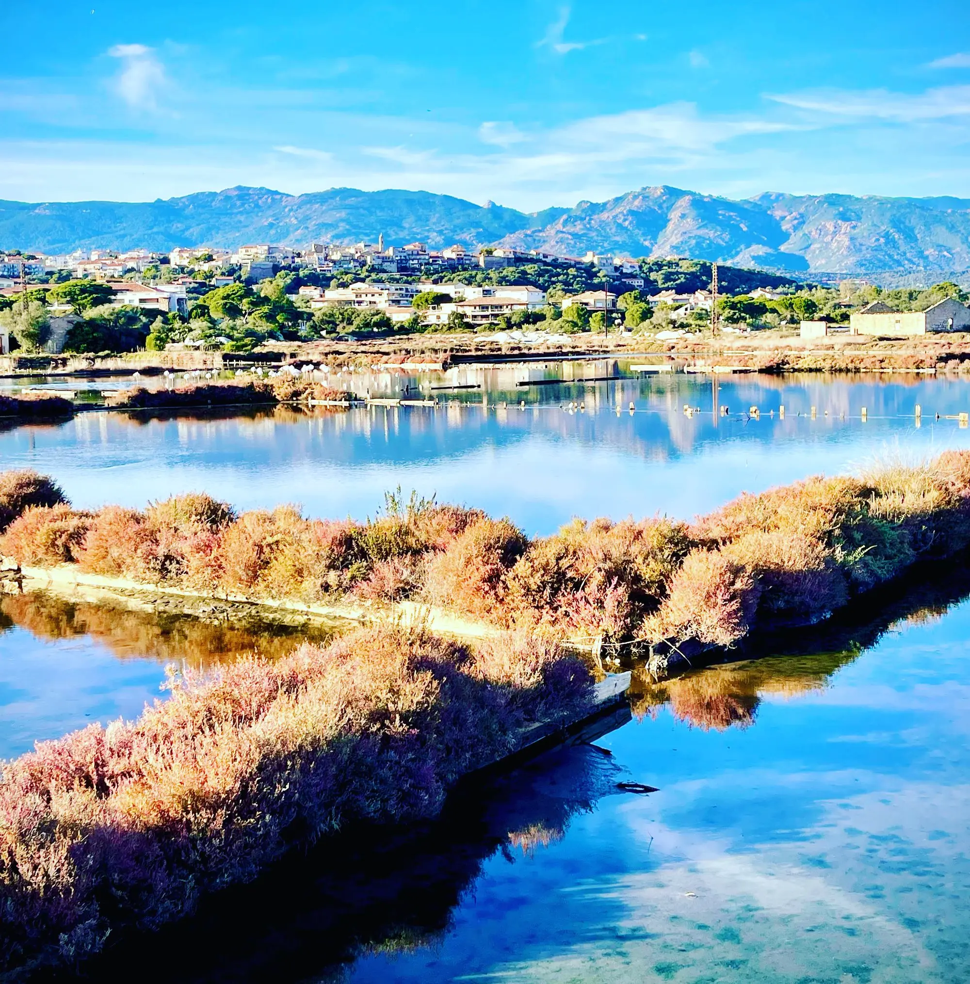 Marais Salants Corse Du Sud