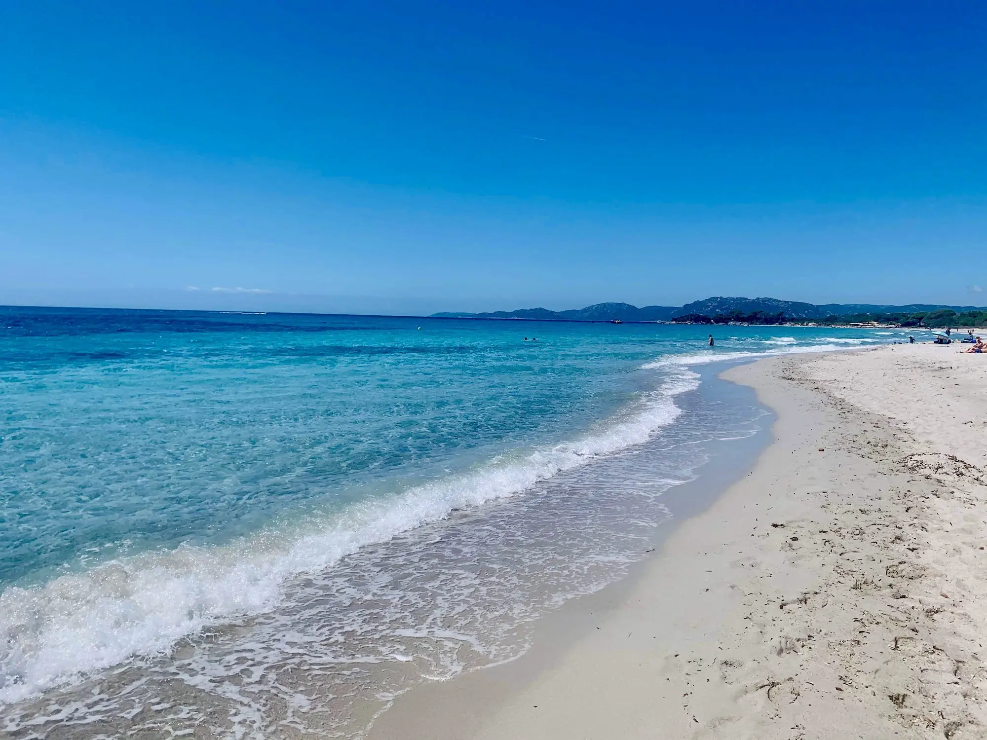 Plage De Palombaggia