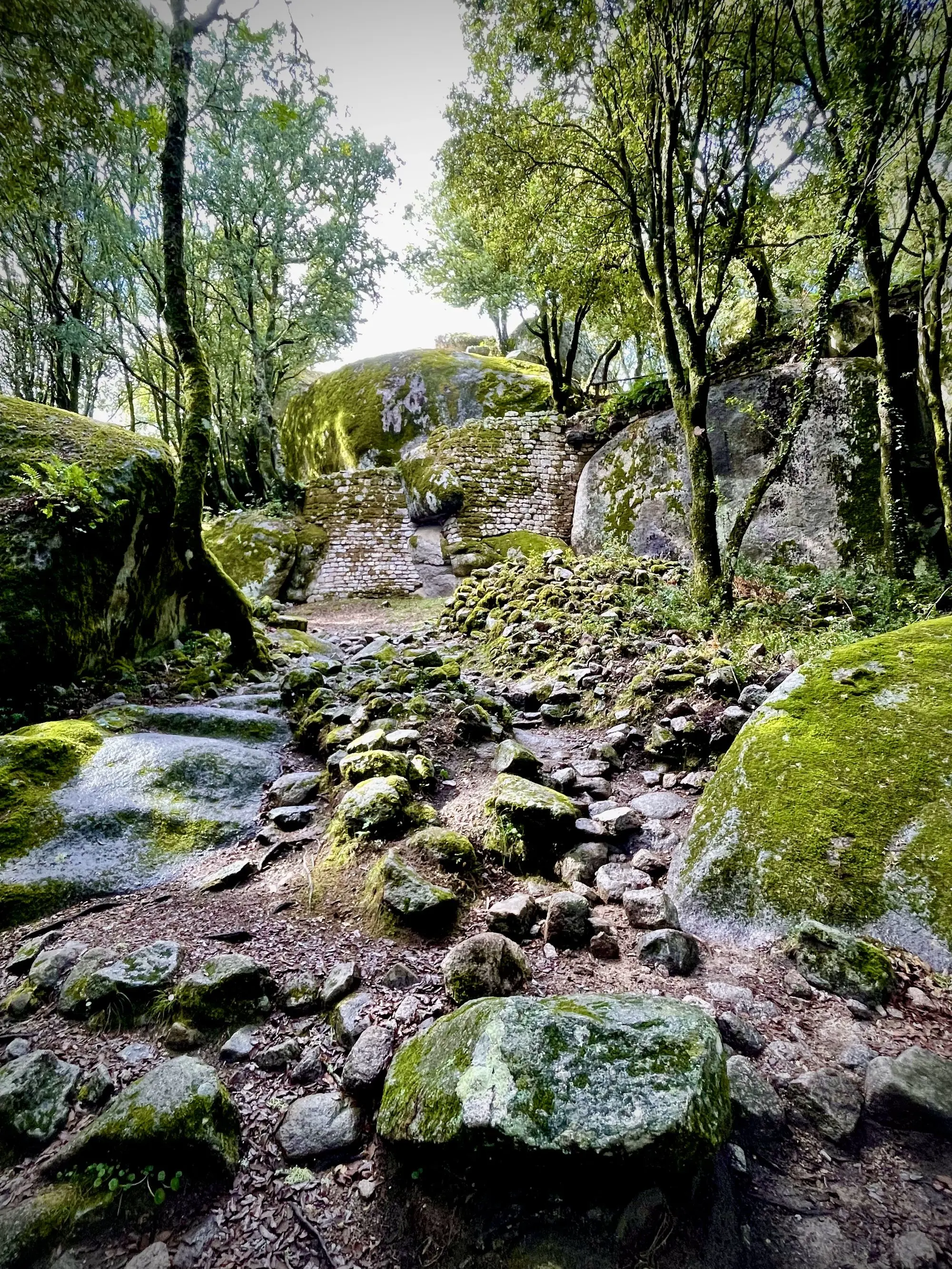 Site Archeologique Cuccuruzzu