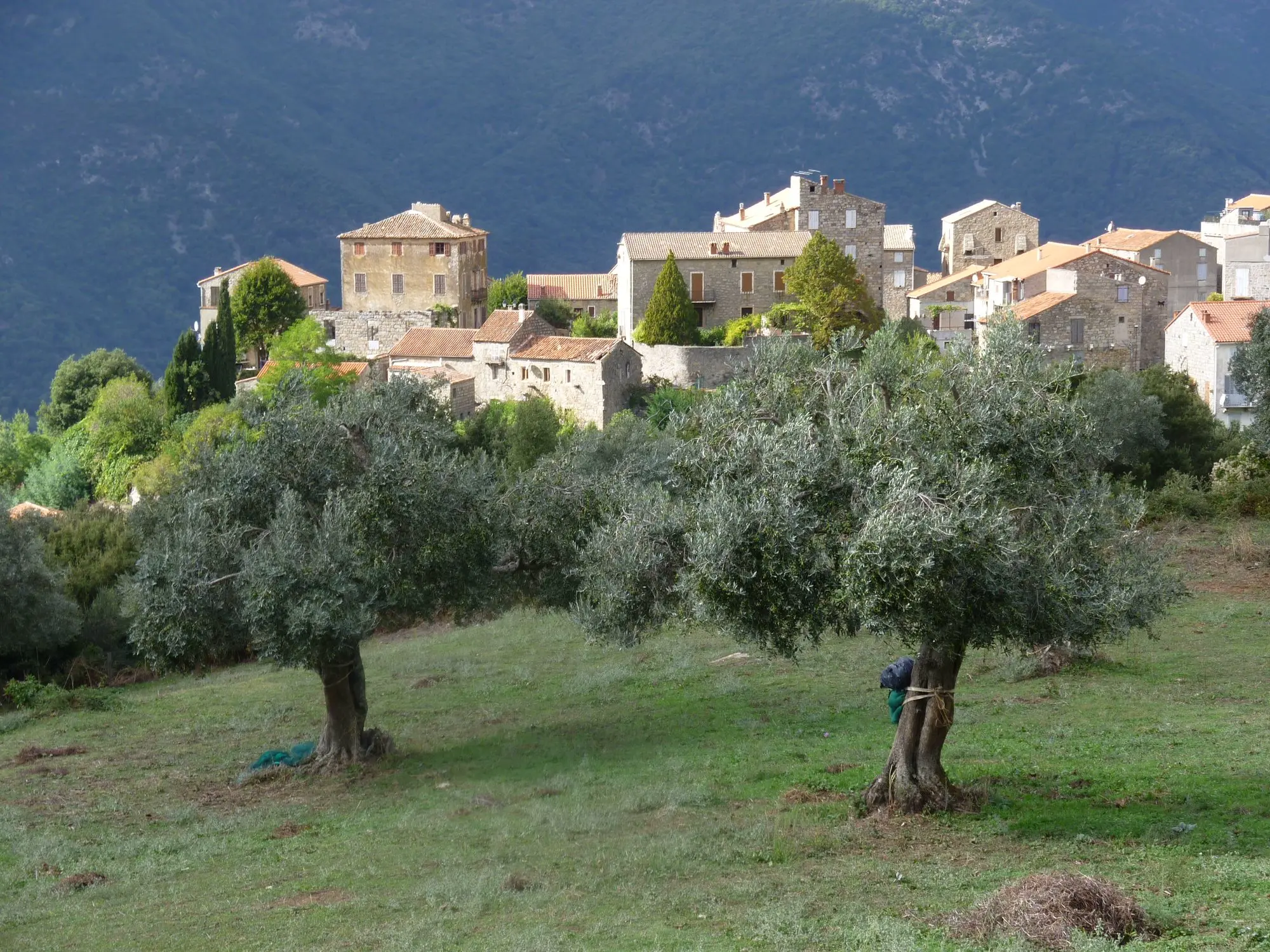 Ste Lucie De Tallano