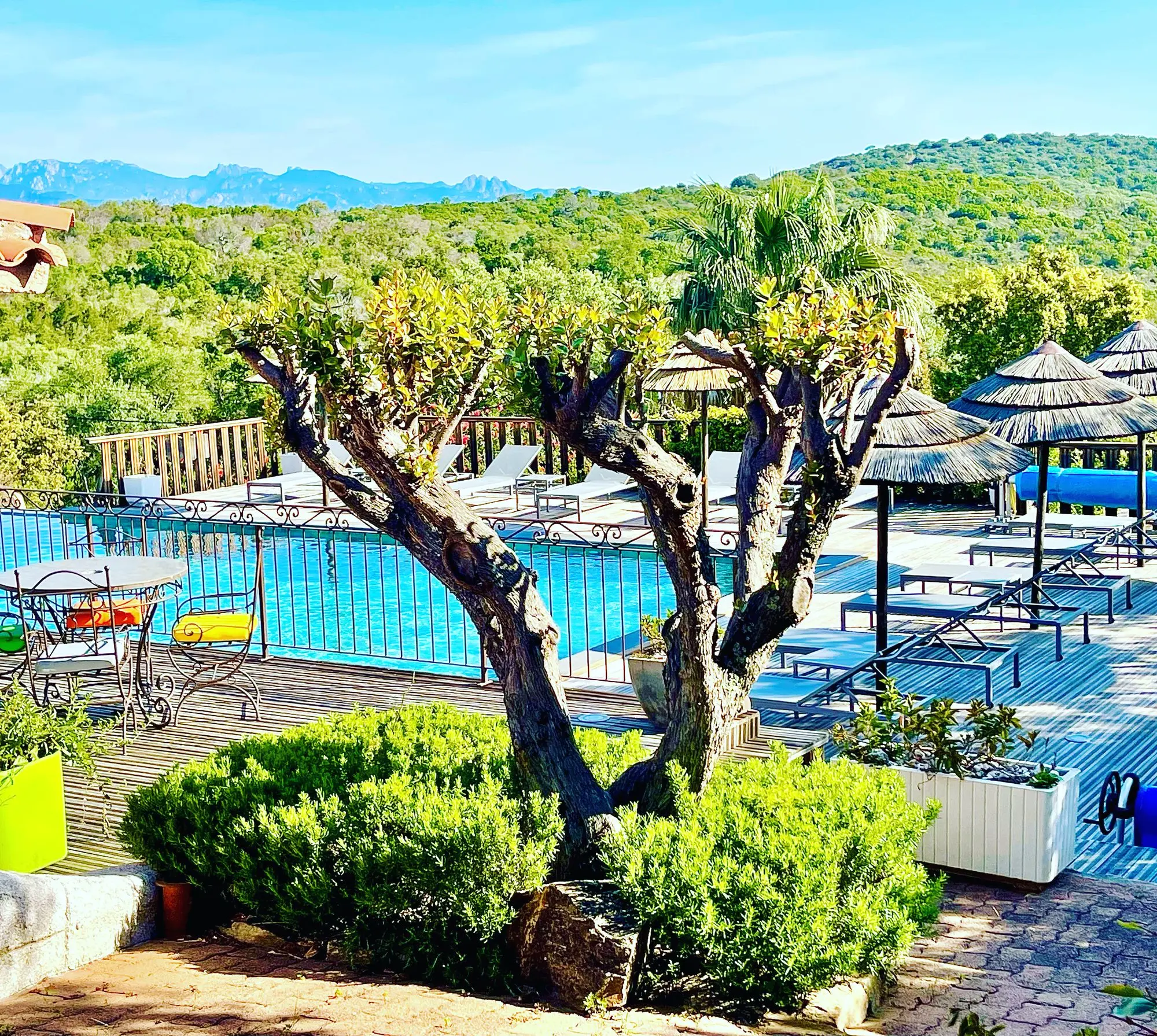 Terrasse au bord de la piscine