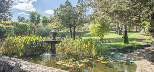 Fontaine et jardin U Pirellu
